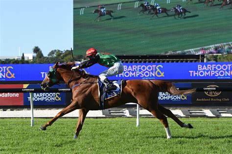 Auckland Cup .